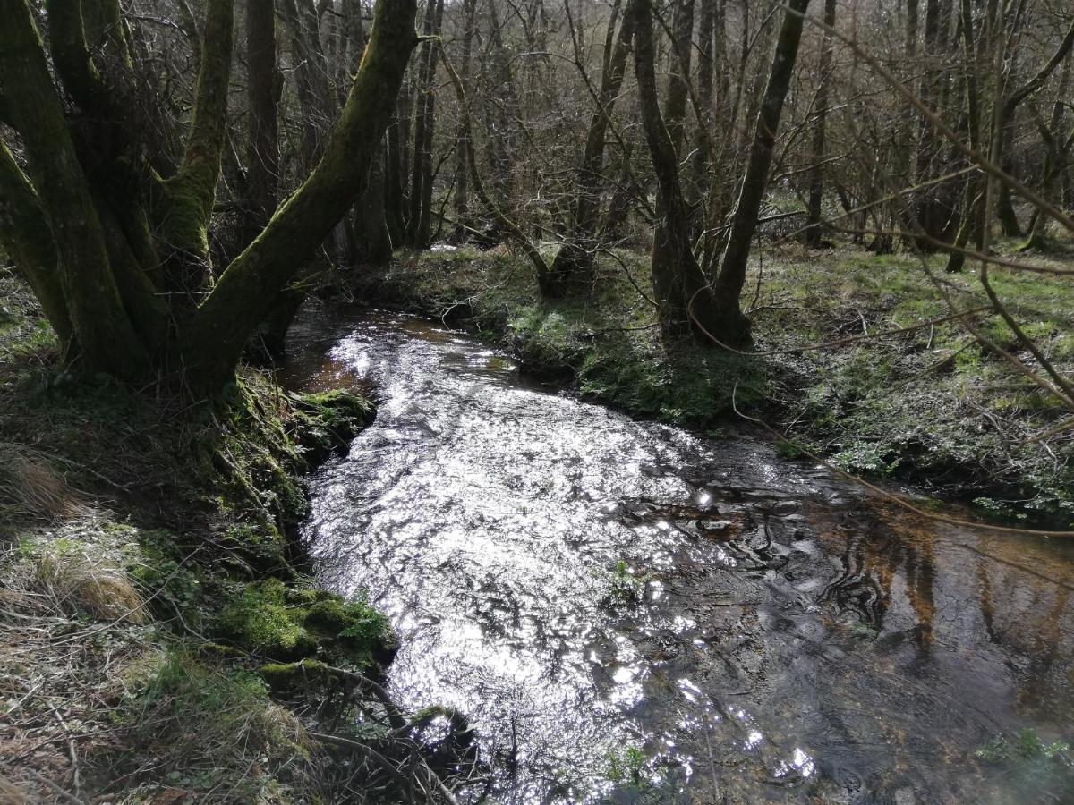 מורטונהאמפסטד Wray Valley מראה חיצוני תמונה