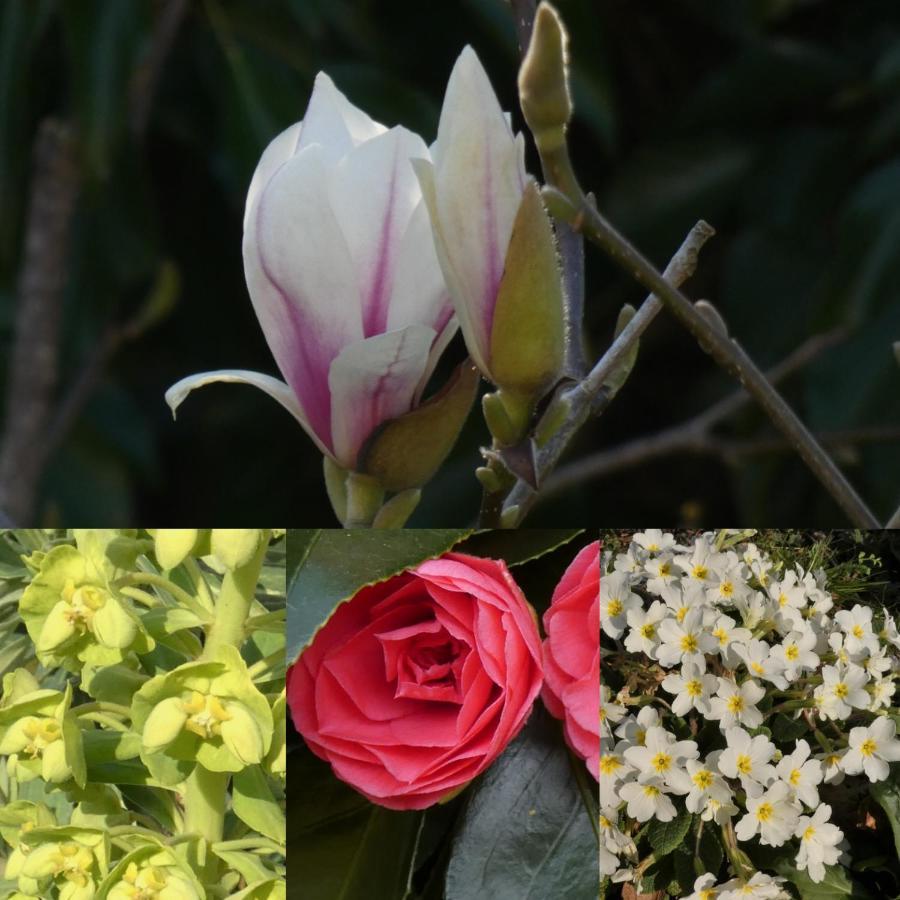 מורטונהאמפסטד Wray Valley מראה חיצוני תמונה