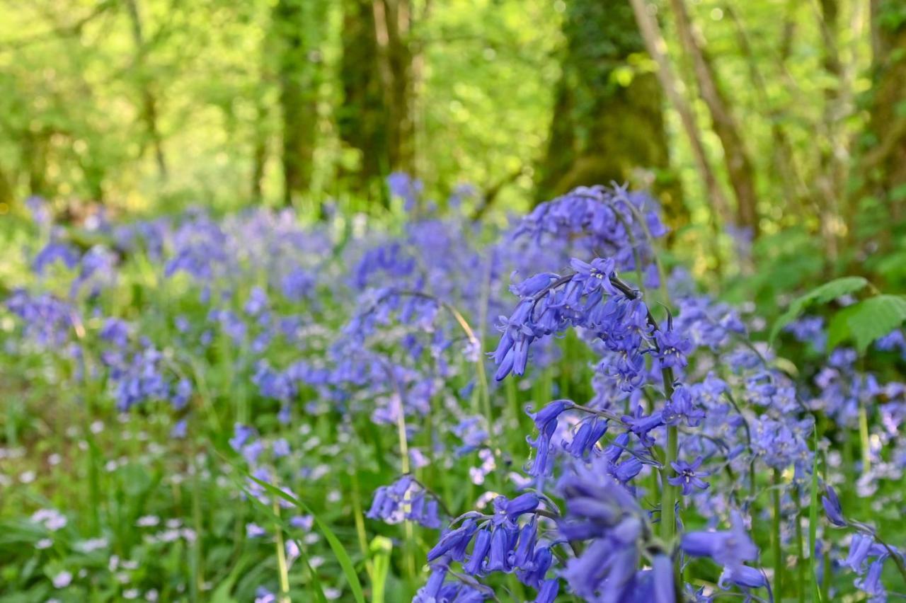 מורטונהאמפסטד Wray Valley מראה חיצוני תמונה